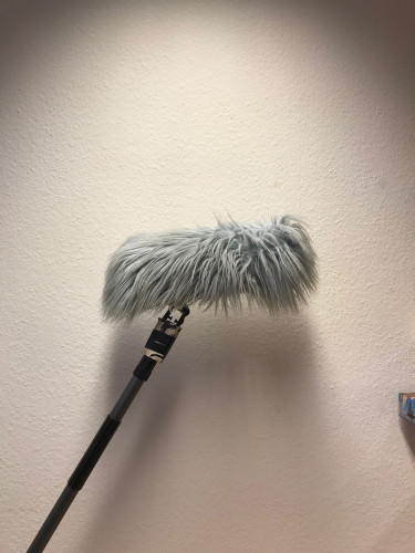 Richtmikrofon mit Windkorb